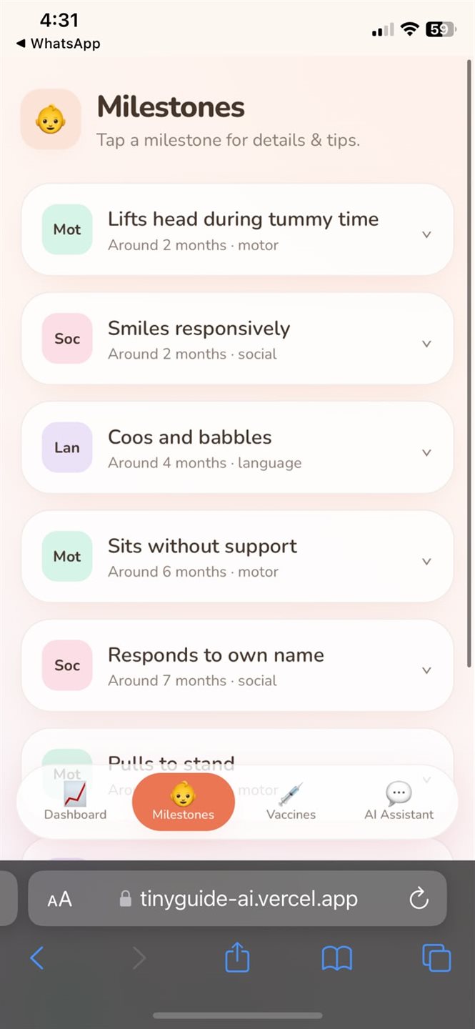 TinyGuide AI preview 5